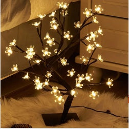 LED Copper Wire Bedroom Light Fairy String Lamp USB & Battery | DecoRight